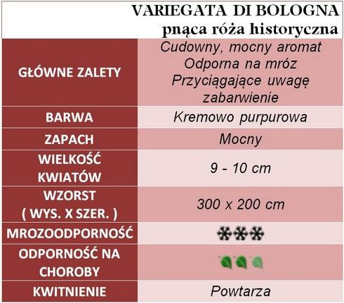 Variegata Di Bologna